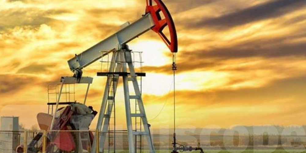 70% عجز في الطاقة: وضع صعيب يهدد مستقبل الكهرباء في تونس