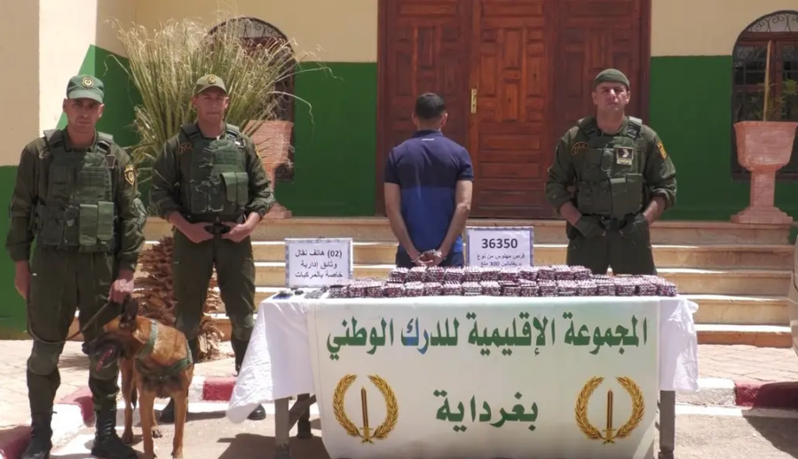 حجز أزيد من 36 ألف قرص مهلوس على متن سيارة إسعاف بغرداية