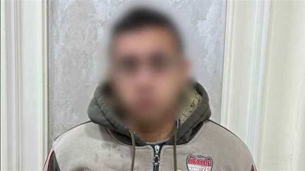 الأمن يكشف ملابسات فيديو اعتداء بسلاح أبيض في الدقهلية ويضبط المتهم