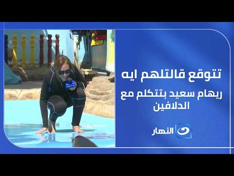 ريهام سعيد بتتكلم مع الدلافين