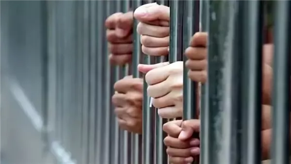تجديد حبس عاطلين بتهمة غسل 115 مليون جنيه من تجارة المخدرات