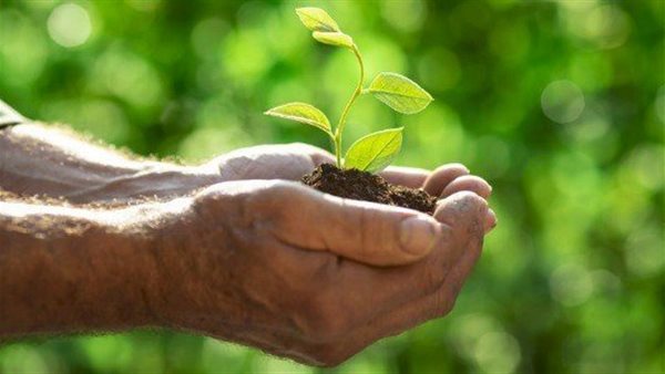 وأحسنوا، الأزهر للفتوى يوضح أثر الكلمة في تحديد مصير الإنسان (فيديو)