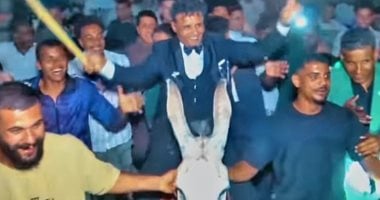 عريس يدخل حفل زفافه بحمار في قنا وأقاربه