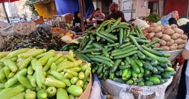 الطماطم بـ12 جنيها.. أسعار الخضراوات والفاكهة بكفر الشيخ الإثنين 16 فبراير 2026