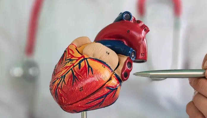 تقنية جديدة أقل تدخلاً تنافس الطرق التقليدية في تشخيص أمراض القلب