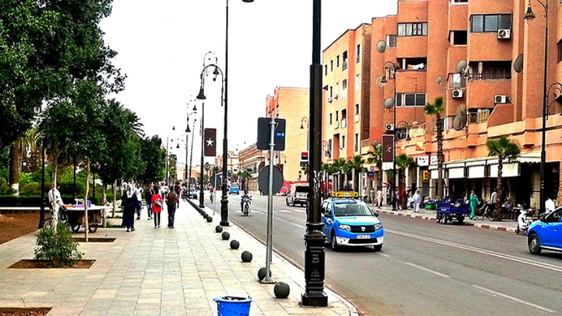 السائقون المهنيون في قلعة السراغنة