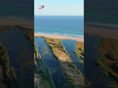 Omani Reserves: Khor Kharfot Archaeological Reserve