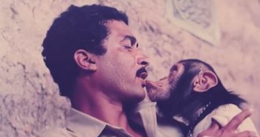 بعد 39 عاما.. كيف تعامل أحمد زكي مع الحيوانات فى فيلم أربعة فى مهمة رسمية؟