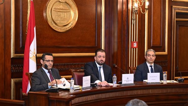 أبرز محاور مداخلة نقيب الصحفيين في اجتماع لجنة إعلام مجلس الشيوخ