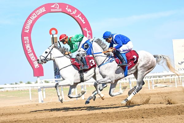 9 أشواط في السباق الـ/22/ لسباقات الخيل بمضمار الرحبة