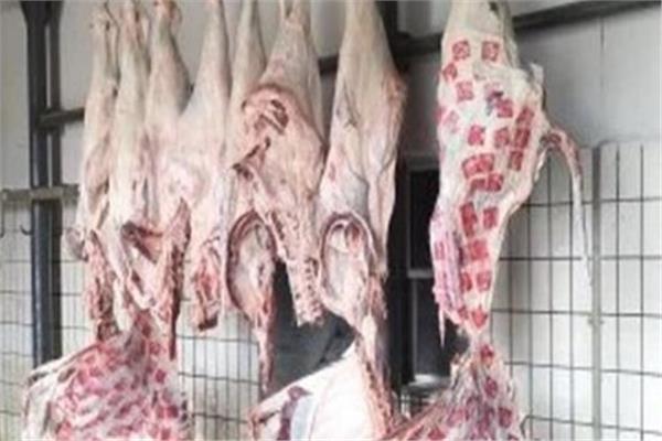 رابع أيام عيد الأضحى المبارك.. ضبط 190 كيلو لحوم منتهية الصلاحية بالشرقية