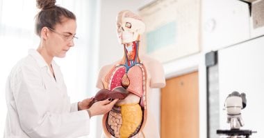 مش السكر بس.. عوامل تزيد من خطر إصابتك بالكبد الدهنى وطرق العلاج