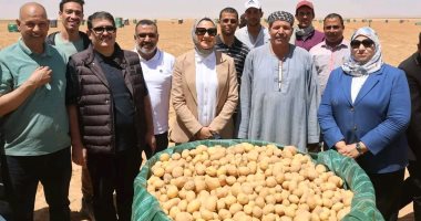 خيرات مزارع مركز بلاط بالوادى الجديد بأعلى إنتاجية للتصدير وتغطى احتياجات السوق المحلى.. أجود الأصناف بأحدث تقنيات الزراعة والحصاد المميكن.. والزراعة تنجح فى إنتاج أول فصيلة تقاوى بمواصفات التصدير