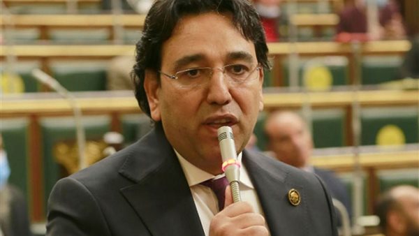 أيمن محسب يطالب بإلغاء الحبس بجميع قوانين الاستثمار ليتماشى مع المنطق الحديث