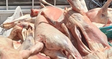 حقيقة ضبط لحوم كلاب مجهزة للاستهلاك الأدمى فى الجيزة