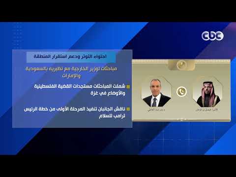 احتواء التوتر ودعم استقرار المنطقة.. مباحثات لوزير الخارجية مع نظيريه بالسعودية والإمارات
