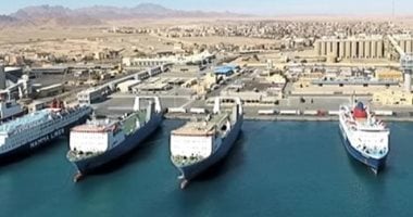 تداول 13 ألف طن و727 شاحنة بضائع عامة ومتنوعة بموانئ البحر الأحمر