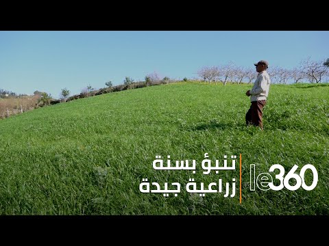 التساقطات المطرية تفرح فلاحي منطقة العرجات
