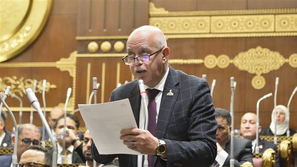 حازم الجندي: كلمة مدبولي أمام النواب كشفت رؤية شاملة لمواجهة الأزمات