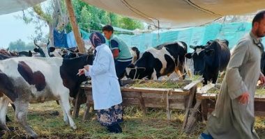 تحصين 109 آلاف رأس ماشية ضد الحمي القلاعية والوادى المتصدع بالأقصر