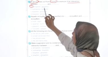 أهم أسئلة العلوم لغات للصف الخامس الابتدائي.. مراجعة شاملة ومهمة