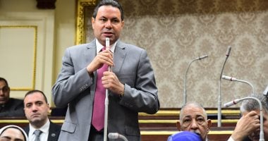 هشام الحصرى: مصارحة الرئيس بشأن فاتورة الاستيراد تفرض علينا تحقيق الاكتفاء