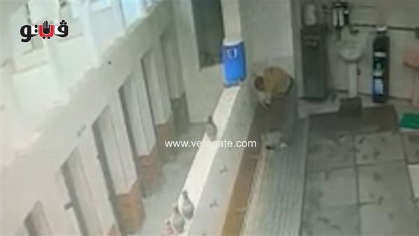 أمن الغربية يضبط لصا سرق مسجدا في المحلة (فيديو)
