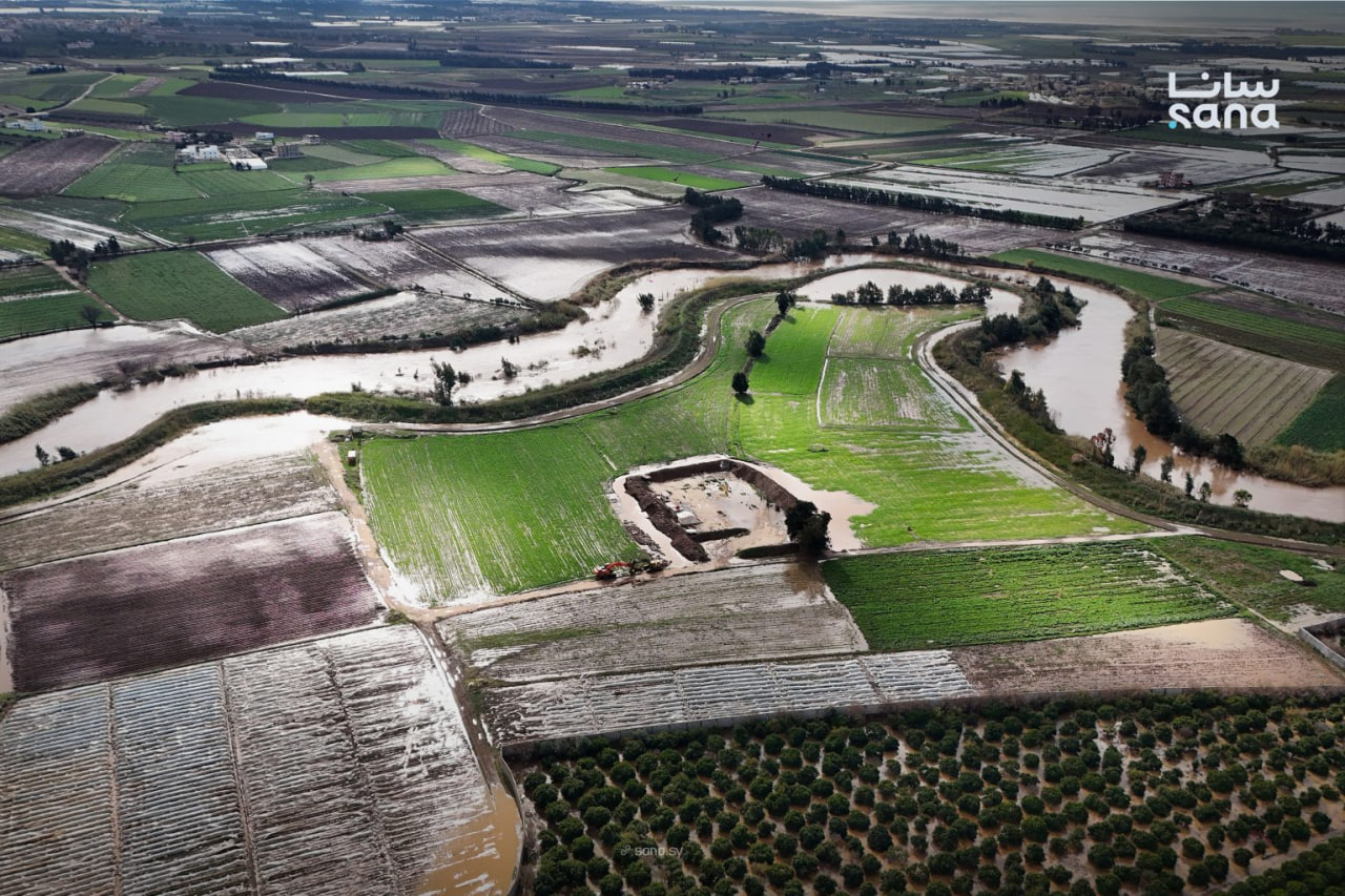 هطولات مطرية غزيرة في طرطوس تعزز الزراعات البعلية وترفع مخزون المياه الجوفية