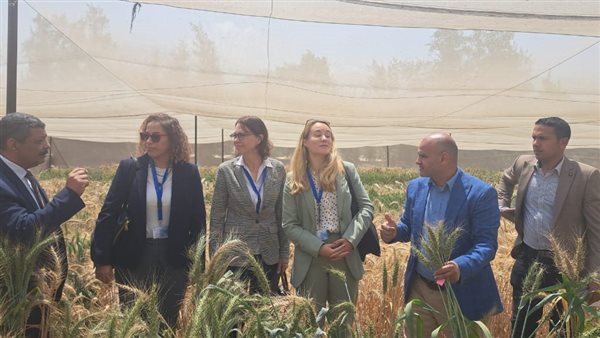 هيئة الطاقة الذرية تستقبل وفدًا ألمانيًا رفيع المستوى لتعزيز التعاون العلمي المشترك