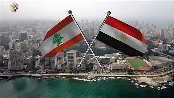 تمارا الزين: لبنان يراهن على مصر والدول الصديقة في الأزمة الخانقة|فيديو
