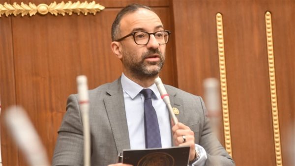 النائب محمد الحمامصي يعتزم التقدم بمقترح لإنهاء وقف معاش الابنة غير العاملة عند الزواج