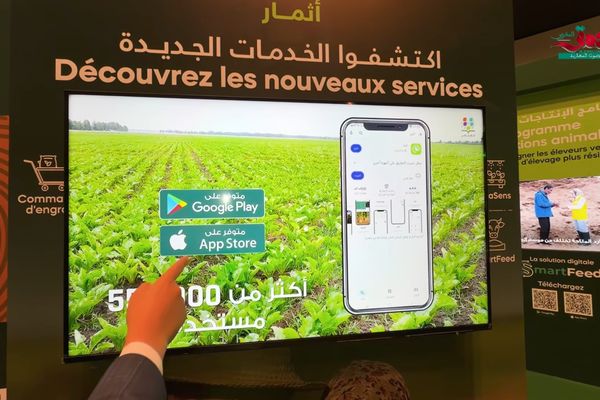 “المثمر” يوسع خدماته الرقمية الفلاحية.. حلول جديدة للإنتاج الحيواني وترشيد المياه (فيديو)