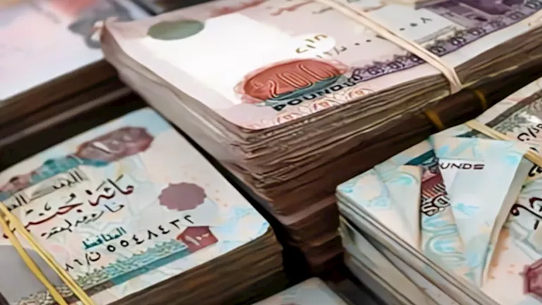 الداخلية تضبط نشاطًا ماليًا إجراميًا بقيمة 350 مليون جنيه