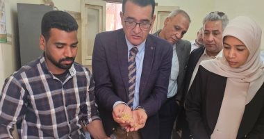 تموين الأقصر تعلن بداية موسم توريد القمح فى 4 نقاط مخصصة بالشون والصوامع