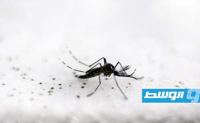 اكتشاف «نقطة ضعف» في طفيلي الملاريا قد يمهد لعلاجات جديدة