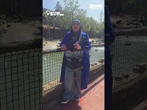 هاعلاش هاد الطيور  لونها غوز والسر فالكروفيط