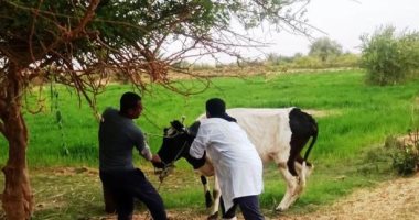 قافلة بيطرية مجانية بقرية طوخ طنبشا بعزبة راتب فى المنوفية