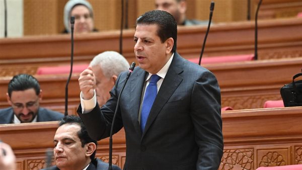 برلماني يُحذر من تطبيق الشريحة الموحدة لأسعار الكهرباء.. المواطن بدأ يعتمد على النشويات ويتجاهل البروتين