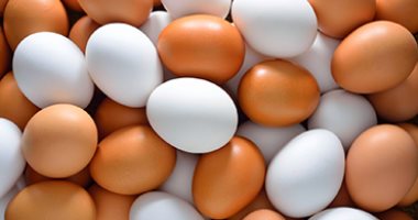 سعر طبق البيض بالقليوبية اليوم الخميس 23