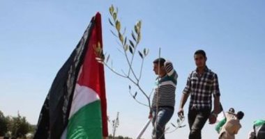 نائبة بالشيوخ: قانون إعدام الأسرى وصمة عار جديدة فى سجل الاحتلال الأسود