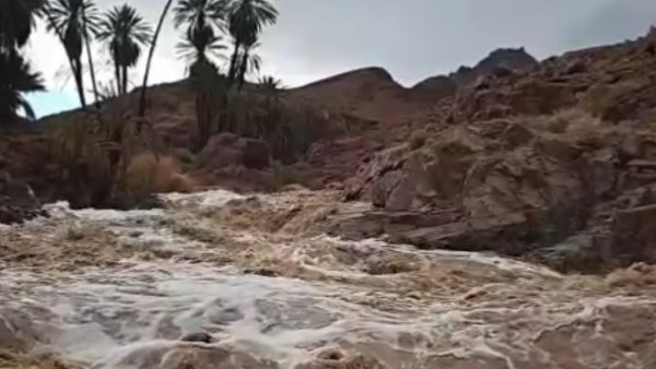 بسبب الأمطار الغزيرة.. غرق شخصين في ولاية فلوريدا الأمريكية