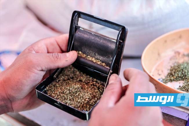 تدخين أوراق الملوخية في غزة لمواجهة شحّ التبغ