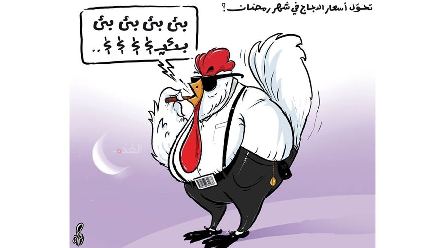 كاريكاتير حمزة حجاج- أسعار الدجاج...