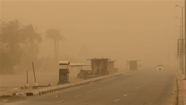 التنمية المحلية تناشد المواطنين بالابتعاد عن الأشجار بسبب سوء الأحوال الجوية