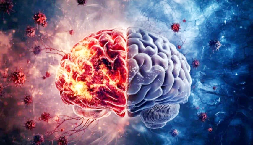 ذاكرة حديدية.. لماذا يشيخ الدماغ بطرق مختلفة؟
