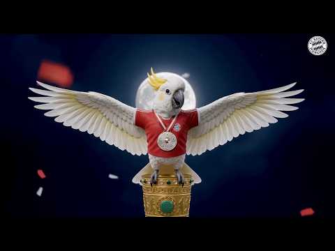Our cockatoo brings home the Double! 🦜🏆