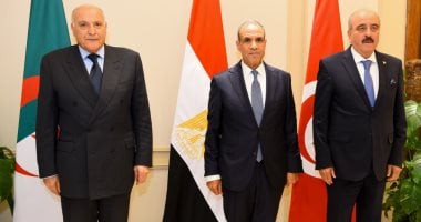 مصر والجزائر وتونس تدفع نحو انتخابات ليبية عاجلة.. تحذير من استمرار الانقسام .. دول الجوار الليبي: لا استقرار دون إنهاء الانقسام وإجراء انتخابات متزامنة.. ولا تسوية دون خروج المرتزقة