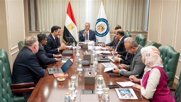 وزير البترول يتابع تسريع استكمال ربط حقل أفروديت القبرصي بمصر