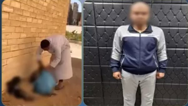 ضبط شخص حاول وضع كلاب داخل أكياس بلاستيكية بحدائق أكتوبر (فيديو)