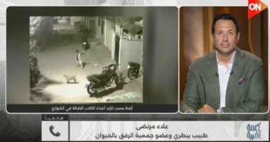 الرفق بالحيوان: تعقيم 2000 كلب منذ بداية العام والشلاتر حل جزئى